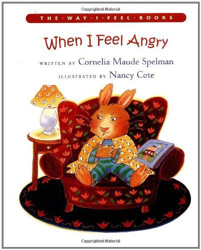 When I Feel Angry The Way I Feel Books