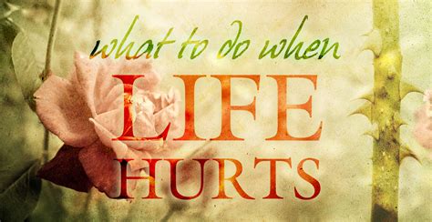 When Life Hurts Kindle Editon