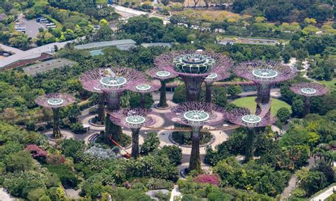 When Was Gardens by the Bay Built: A Timeline of Singapore's Iconic Gardens