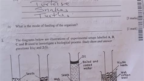 When Will Chemistry Theory And Obj 2014 Waec Answers Be Posted 2day Epub