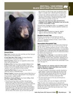 When is Bear Season 4? An Exhaustive Guide to Black Bear Hunting Seasons