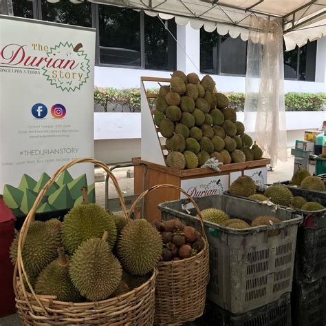 When is Durian Season in Singapore: A Comprehensive Guide to 2025