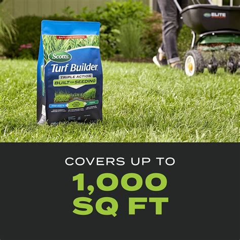 When to Water After Fertilizing with Scotts Turf Builder: