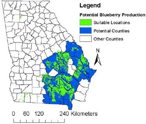 Where Are Blueberries Grown in Georgia: A Comprehensive Map and Insights