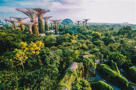 Where VS. Gardens by the Bay 2025: A Comparative Analysis