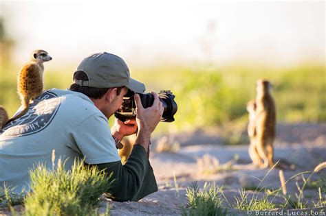 Where and How to Photograph Wildlife PDF