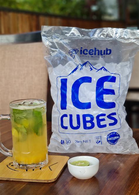 Where to Buy Ice Cubes in Singapore: 15 Best Sellers