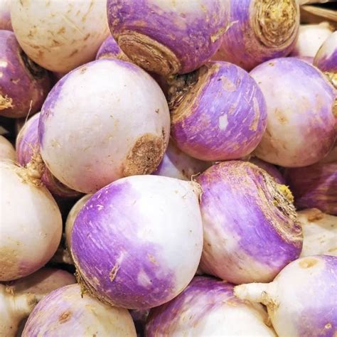 Where to Buy Turnips: A Comprehensive Guide