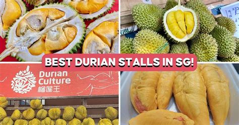 Where to Buy the Best Durian in JB: A Comprehensive Guide