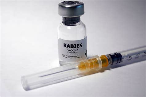 Where to Find Rabies Shots Near You