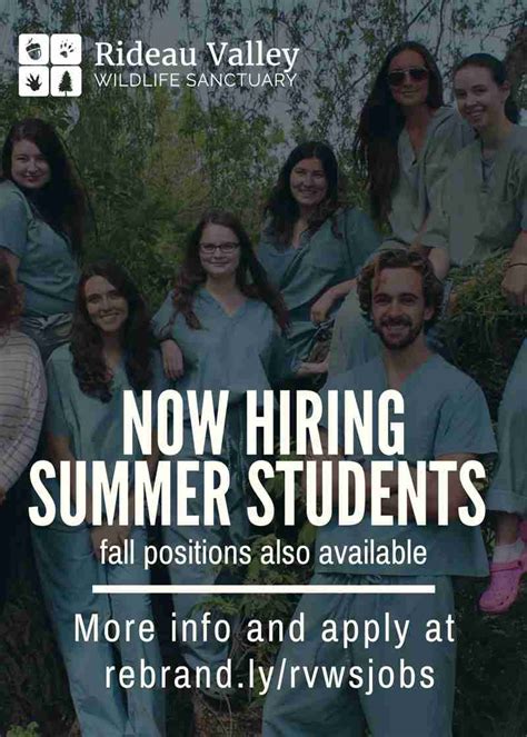 Where to Find Summer Job Opportunities