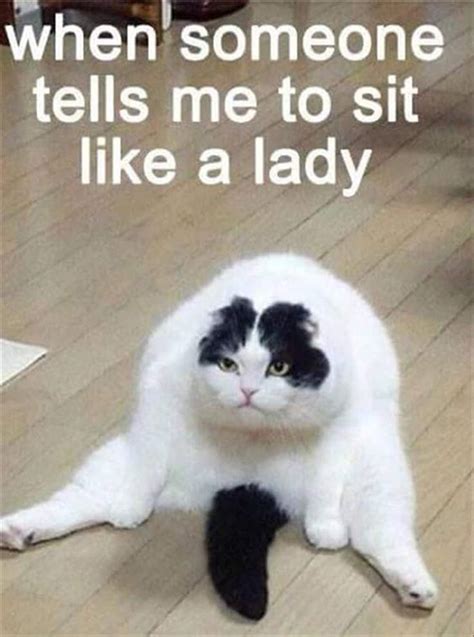 Where to Find the Funniest Make Me Laugh Memes