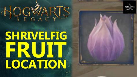 Where to Get Shrivelfig Fruit in Hogwarts Legacy: A Comprehensive Guide