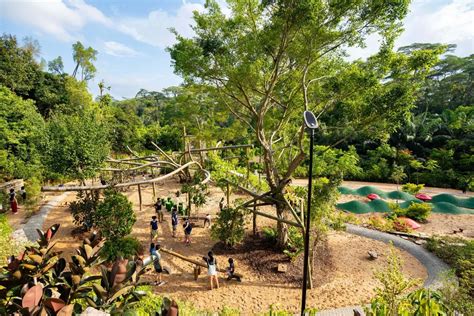 Where to Go with Toddlers in Singapore: 8 Unforgettable Experiences