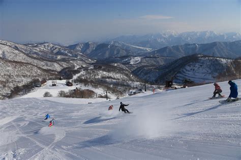 Where to Ski in Japan in December