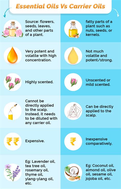 Which Oils Aid Hair Growth (Top 8)