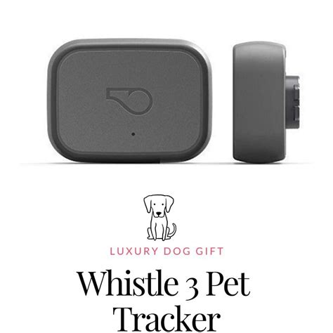 Whistle 3 review