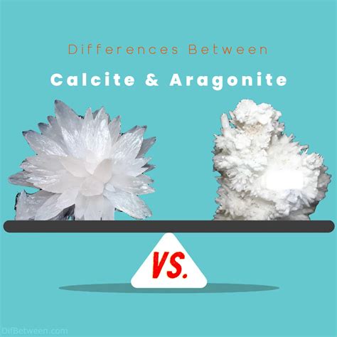 White Aragonite VS. Calcite: Unlocking the Power of Nature's Wonder Minerals