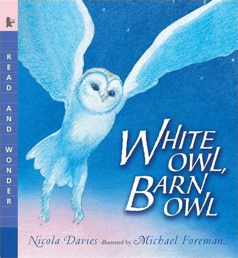 White Owl, Barn Owl: Read and Wonder Reader