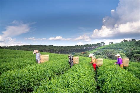 White People Activities: Exploring a Culture Steeped in Rich Traditions
