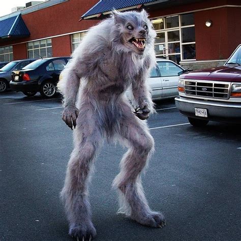 White Werewolf Costume: Transform into a Mystical Creature