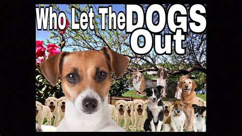 Who Let the Dogs Out? PDF