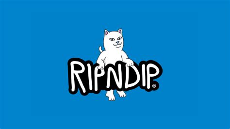 Who are Ripndip customers?