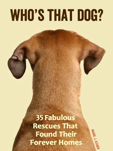 Who s That Dog 35 Fabulous Rescues That Found Their Forever Homes