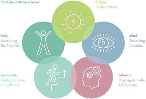 Whole Alternatives: Embracing Holistic Solutions for Optimal Well-being