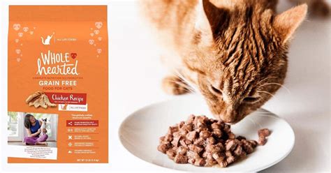 Whole Hearted Cat Food: 10 Unmissable Truths