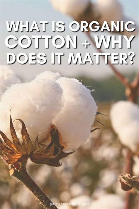 Why 100% Cotton Matters