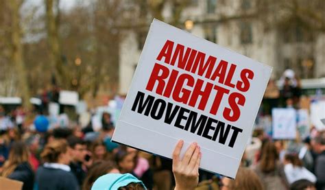 Why Animal Rights Matter