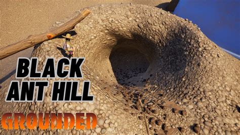 Why Armor Matters for Black Ant Hill