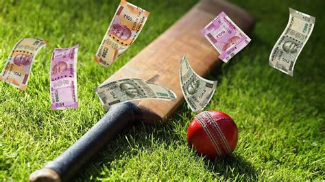 Why Betting on World Cup Cricket Matters