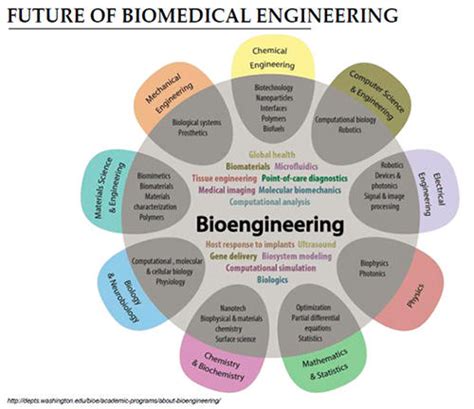 Why Biomedical Engineering Matters