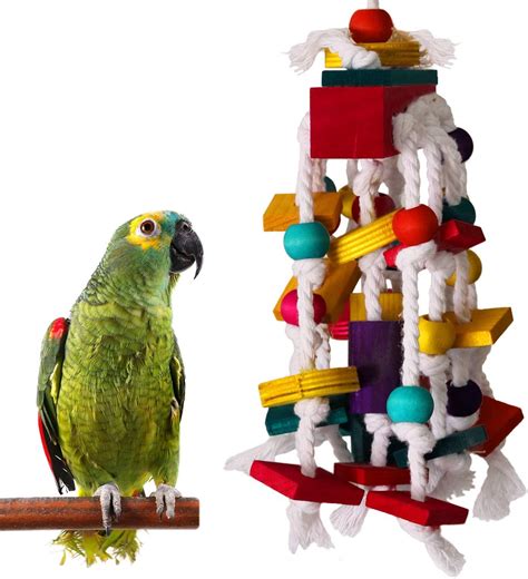 Why Bird Toys Matter