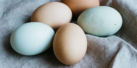 Why Buy Local Eggs?