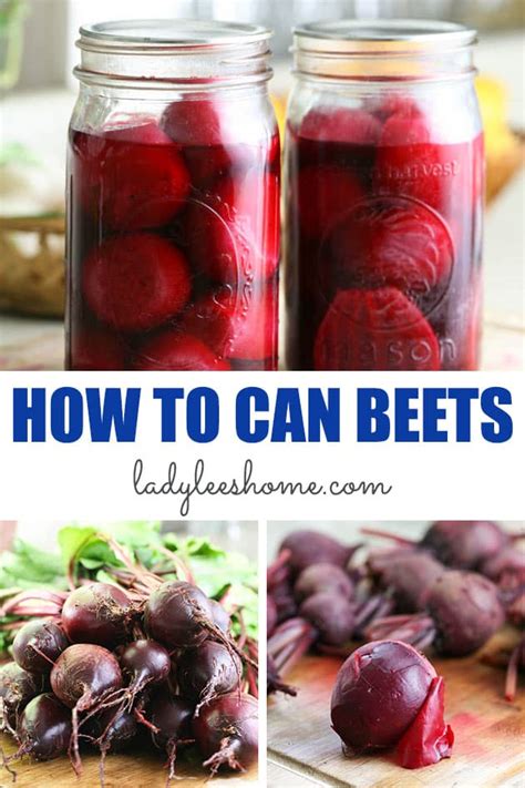 Why Canning Beets Matters