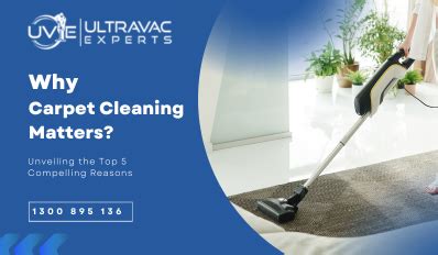 Why Carpet Spot Cleaning Matters