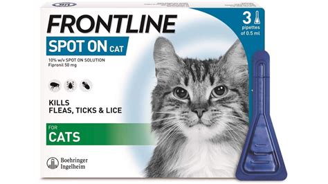 Why Cat Flea and Tick Treatment Matters