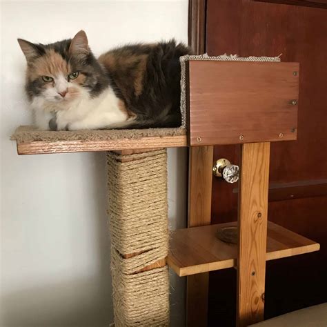 Why Cat Trees and Towers Matter