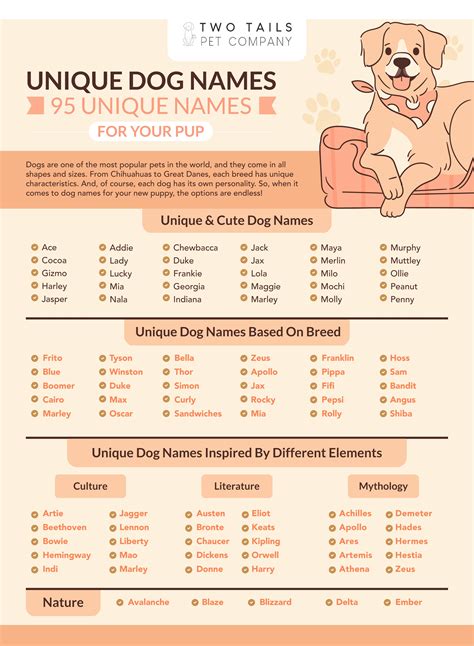 Why Choose a Unique Name for Your Puppy?