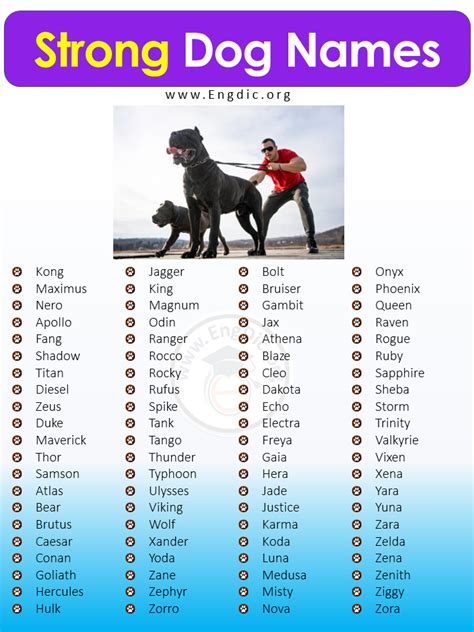 Why Choosing a Strong Name for Your Male Dog Matters