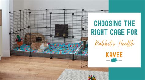 Why Choosing the Right Cage Matters