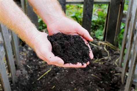 Why Compost Matters: The Benefits of Black Gold