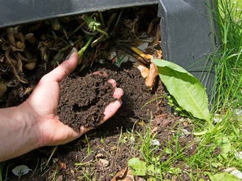 Why Composting Turning Matters