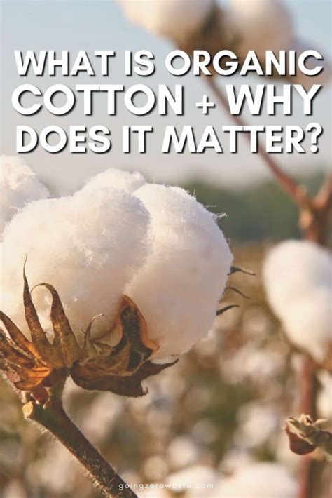 Why Cotton Matters