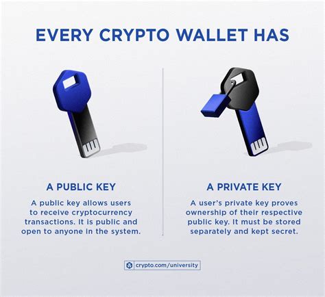 Why Create a Crypto Wallet?