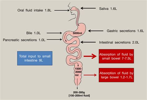 Why Diarrhoea Matters