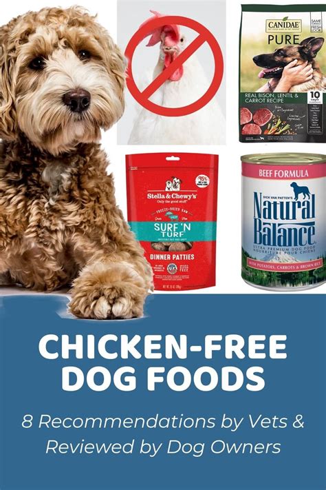 Why Does Chicken-Free Dog Food Matter?